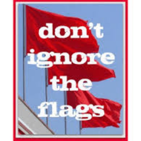 Louis Vuitton Handbags - Flags to watch for UPDATE